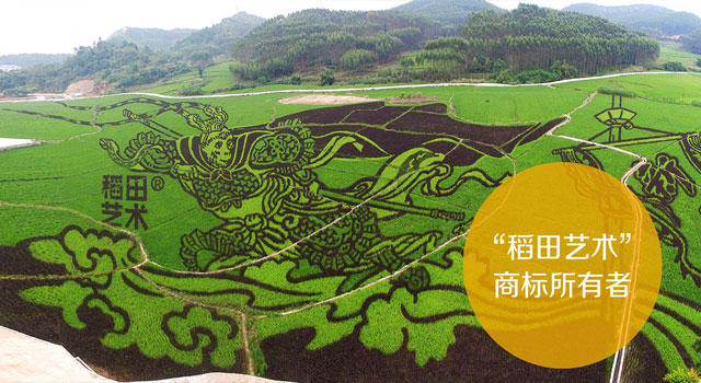 一场视觉饕鬄盛宴